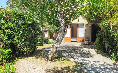 Résidence les Figuiers Fleurs: Leaf, Shrub, Garden, Shade, Woody Plant, Backyard, Cottage, Landscaping, Yard, Estate