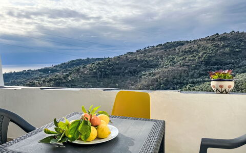 Cà Ninin de Bernà: Furniture, Outdoor Furniture, Table, Chair, Outdoor Table, Garden, Kitchen & Dining Room Table, Patio, Restaurant, Flowerpot