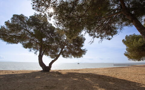 La Londe les Maures 301: Body Of Water, Natural Environment, Branch, Horizon, Beach, Coast, Sand, Ecoregion, Coastal And Oceanic Landforms, Shore