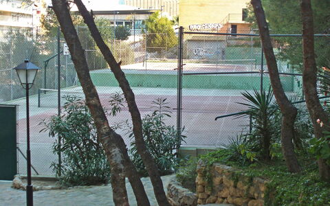 Coblanca Xvi: Plant, Building, Window, Branch, Tree, Architecture, Grass, Wood, Trunk, Leisure