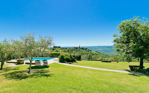 Margherita: Shrub, Home, House, Estate, Mansion, Historic House, Villa, Siding