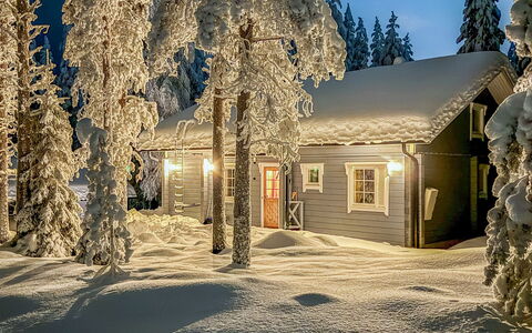 Pankamaa 12: Branch, Wood, Snow, House, Winter, Cottage, Home, Freezing, Larch, Twig