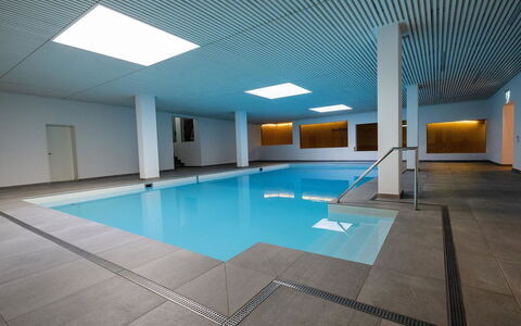 La Riva Mountain Apartment: Ceiling, Flooring, Floor, Swimming Pool, Interior Design, Resort, Daylighting, Hall, Design