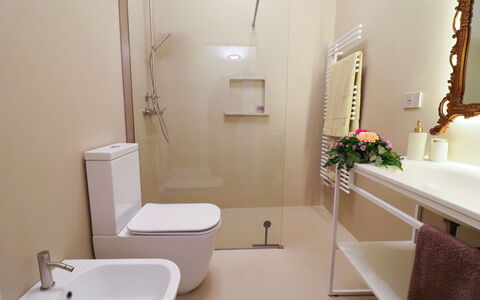 Bacchus: Historic Charming Home: Bathroom, Toilet Seat, Plumbing Fixture, Toilet, Flooring, Wall, Floor, Interior Design, Bathroom Sink, Sink
