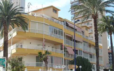 El Junco: Building, Sky, Plant, Daytime, Property, Window, Tree, Tower Block, Vegetation, Urban Design