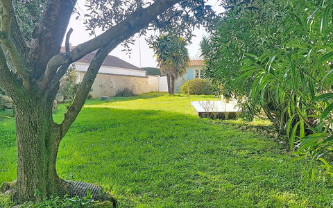Le Château 3: Green, Grass, Leaf, Shrub, Garden, Lawn, Groundcover, Spring, Woody Plant