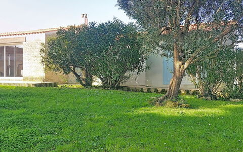 Le Château 3: Grass, Leaf, Shrub, Garden, Lawn, Groundcover, Spring, Backyard, Shade