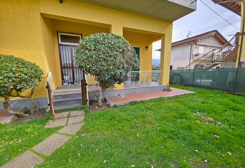 Casa Serena: Shrub, Garden, Lawn, Yard, Backyard, Landscaping, Shade, Hedge, Courtyard, Walkway