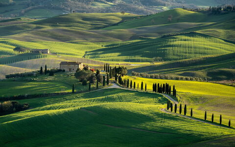 Casa Lory, Monteriggioni, Siena: Grass, Natural Landscape, Hill, Grassland, Landscape, Highland, Field, Plain, Rural Area, Meadow