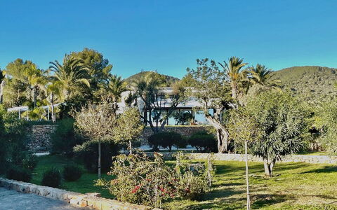 Villa the Marvel: Tree, Leaf, Vegetation, Landscape, Shrub, Garden, Landscaping, Shade