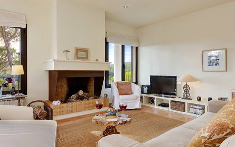 Villa Crab: Furniture, Interior Design, Wall, Couch, Flooring, Living Room, Wood, Floor, Ceiling, Room