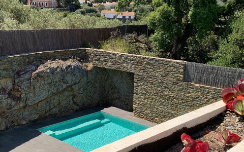 Villa Luisa: Stone Wall, Swimming Pool, Water Feature, Garden, Landscaping, Backyard, Shade, Flagstone, Eco Hotel