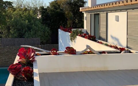 Villa Luisa: Shade, Concrete, Garden, Flowerpot, Landscaping, Balcony, Design, Yard, Houseplant, Backyard