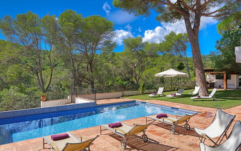 Villa Cassiopea: Swimming Pool, Resort, Outdoor Furniture, Shade, Garden, Eco Hotel, Sunlounger, Landscaping, Villa, Backyard