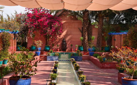 Villa the Garden: Flowerpot, Shrub, Garden, Spring, Houseplant, Landscaping, Courtyard, Botanical Garden, Yard