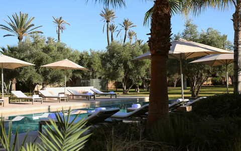 Villa Eleganza: Swimming Pool, Resort, Outdoor Furniture, Sunlounger, Shade, Chair, Landscaping, Eco Hotel, Hotel