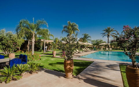 Villa Annarosa: Swimming Pool, Tree, Resort, Outdoor Furniture, Umbrella, Eco Hotel, Shade, Landscaping, Hacienda, Leisure