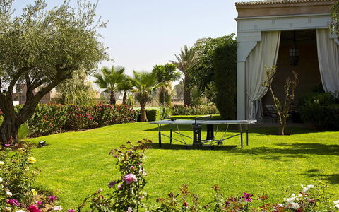 Villa Orange Trees: Tree, Grass, Garden, Landscape, Shrub, Lawn, Land Lot, Shade, Yard