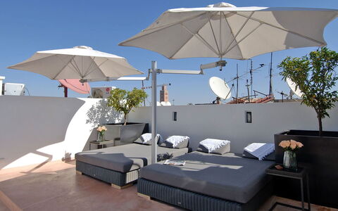 Dar Sami: Furniture, Outdoor Furniture, Flowerpot, Chair, Apartment, Umbrella, Houseplant, Resort, Balcony, Patio