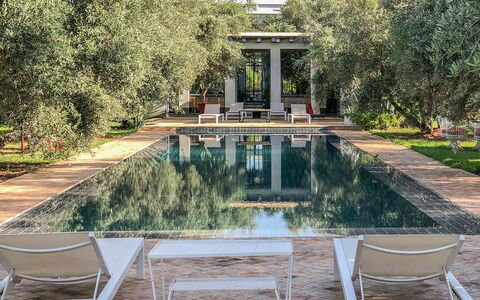 Villa Susan: Swimming Pool, Estate, Garden, Resort, Reflection, Shade, Chair, Outdoor Furniture, Reflecting Pool, Landscaping