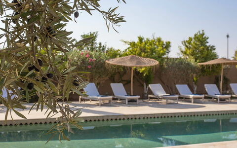 Villa Zagar: Outdoor Furniture, Furniture, Swimming Pool, Sunlounger, Resort, Chair, Shade, Estate, Landscaping, Umbrella