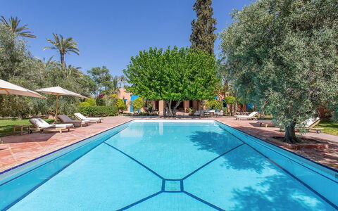 Villa Royale: Swimming Pool, Resort, Outdoor Furniture, Eco Hotel, Shade, Thermae, Hacienda, Sunlounger, Garden, Estate
