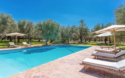Villa Royale: Blue, Swimming Pool, Resort, Shade, Landscaping, Garden, Eco Hotel, Outdoor Furniture, Hacienda