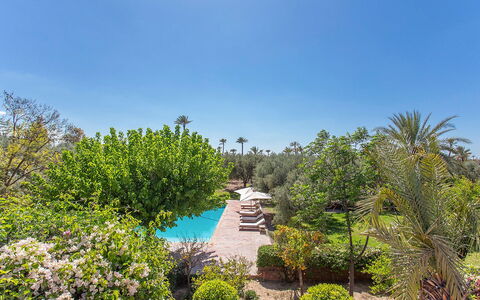 Villa Royale: Shrub, Resort, Garden, Swimming Pool, Landscaping, Hacienda, Estate, Eco Hotel, Shade