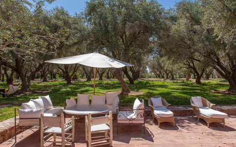Villa Royale: Furniture, Outdoor Furniture, Chair, Garden, Shade, Outdoor Table, Patio, Landscaping, Backyard, Design