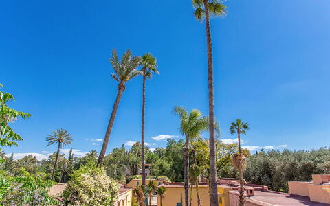 Villa Royale: Blue, Tree, Vegetation, Woody Plant, Tropics