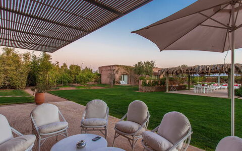 Villa Delizia: Garden, Landscape, Shrub, Land Lot, Plain, Lawn, Shade, Landscaping, Estate, Groundcover