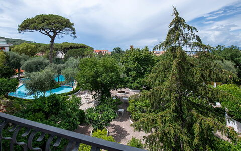 Casa Iago: Tree, Garden, Lawn, Landscaping, Shade, Yard, Park, Backyard, Hacienda, Botanical Garden