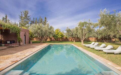 Villa Mauri: Swimming Pool, Estate, Hacienda, Reflection, Landscaping, Resort, Water Feature, Courtyard, Reflecting Pool