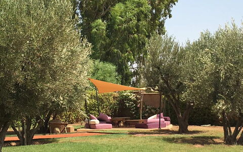 Villa Noria: Garden, Furniture, Outdoor Furniture, Shade, Backyard, Lawn, Trunk, Yard, Chair, Outdoor Table