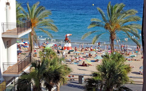 Giner: Water, Plant, Sky, Azure, Tree, Seaside Resort, Arecales, Coastal And Oceanic Landforms, Leisure, Beach
