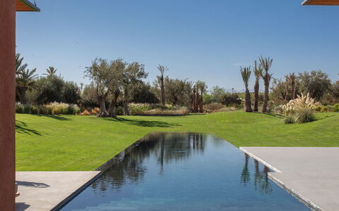 Villa Palmeraie: Reflection, Swimming Pool, Landscaping, Pond, Reflecting Pool, Shadow, Water Feature