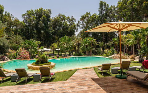 Le Jardin Mogador: Tree, Swimming Pool, Resort, Garden, Eco Hotel, Landscaping, Shade, Hacienda, Estate