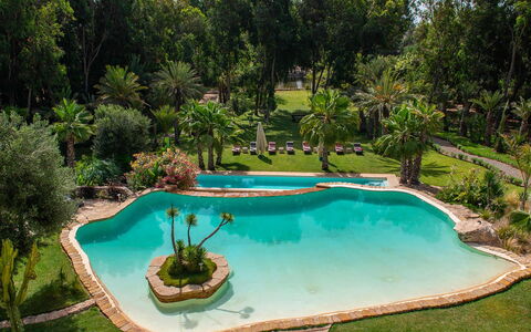 Le Jardin Mogador: Swimming Pool, Water, Tree, Resort, Garden, Leisure, Water Feature, Eco Hotel, Landscaping, Hacienda