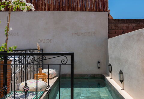 Riad Ali: Composite Material, Swimming Pool, Tile, Flowerpot, Houseplant, Courtyard, Water Feature, Flagstone