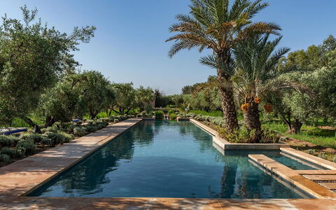 Dar Moon: Water, Swimming Pool, Reflection, Garden, Resort, Reflecting Pool, Water Feature, Hacienda, Landscaping, Estate