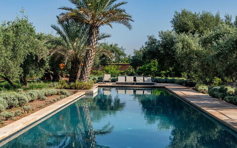 Dar Moon: Swimming Pool, Reflection, Resort, Garden, Reflecting Pool, Hacienda, Landscaping, Estate, Water Feature