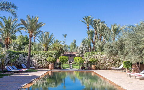 Villa Exotic: Swimming Pool, Resort, Reflection, Hacienda, Outdoor Furniture, Garden, Eco Hotel, Reflecting Pool, Estate