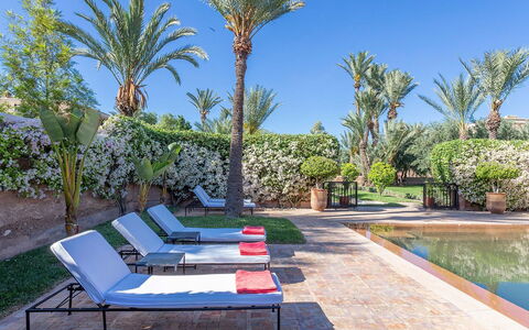 Villa Exotic: Swimming Pool, Resort, Outdoor Furniture, Garden, Landscaping, Eco Hotel, Hacienda, Shade, Sunlounger