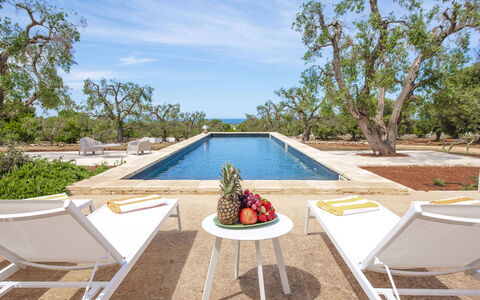 Villa Il Guaceto: Furniture, Swimming Pool, Outdoor Furniture, Resort, Chair, Shade, Sunlounger, Villa, Hotel
