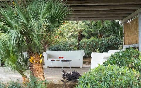 Villa Milo: Vegetation, Shrub, Garden, Plant Community, Outdoor Furniture, Shade, Landscaping, Backyard, Eco Hotel