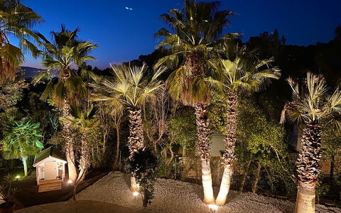 Villa Joel: Night, Garden, Landscape Lighting, Woody Plant, Landscaping