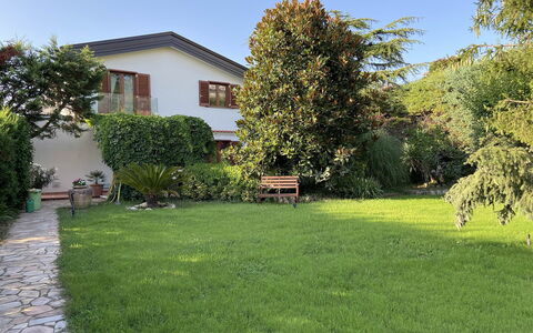 Villa Ava: Grass, House, Garden, Shrub, Residential Area, Home, Lawn, Land Lot, Backyard