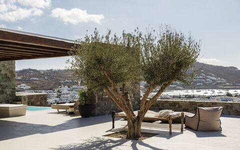 Villa Medea: Furniture, Chair, Outdoor Furniture, Natural Material, Shade, Houseplant, Flagstone, Flowerpot, Living Room, Coffee Table