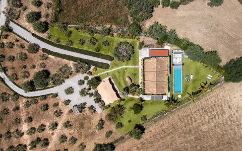 Villa Monica: Tree, Landscape, Residential Area, Plain, Land Lot, Estate, Home, Rural Area, Aerial Photography, Bird'S-Eye View