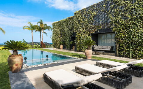 Villa Monica: Garden, Shade, Landscaping, Swimming Pool, Eco Hotel, Resort, Villa, Hacienda, Courtyard